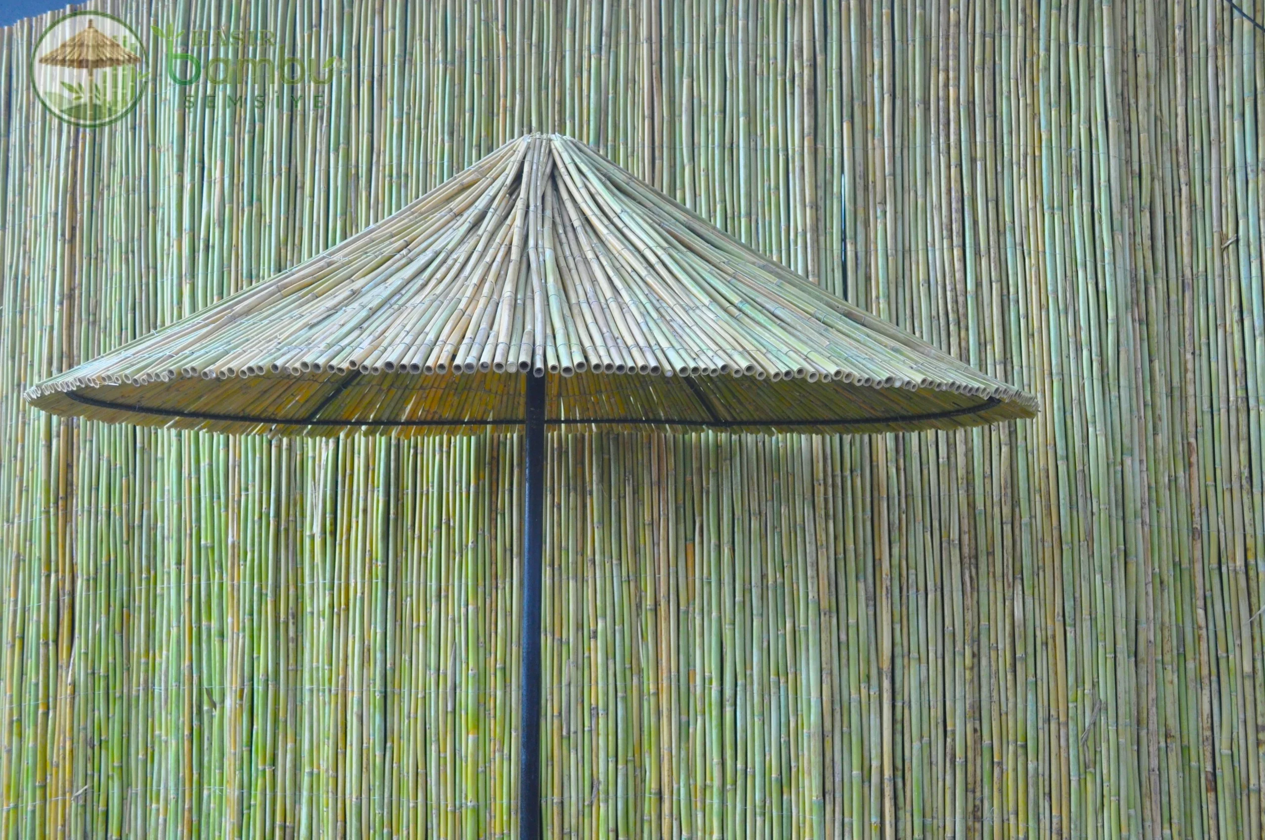 Bambu Şemsiye